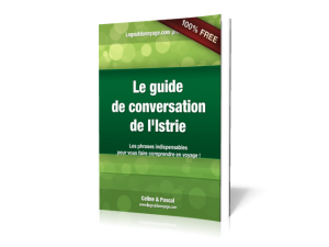 livre 300x225 Le guide de conversation de l’Istrie en quelques mots !