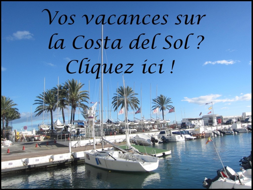 Immobilier Marbella Immobilier Marbella